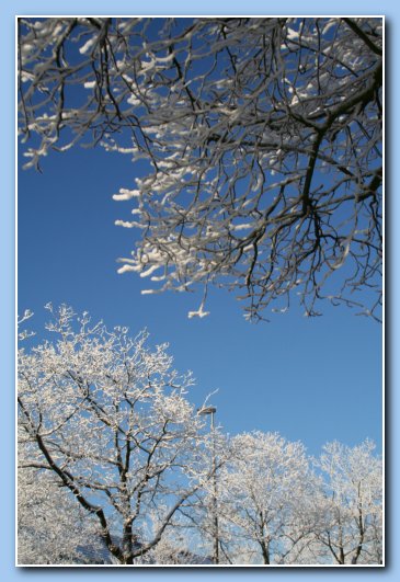Arnhem Snow 148
